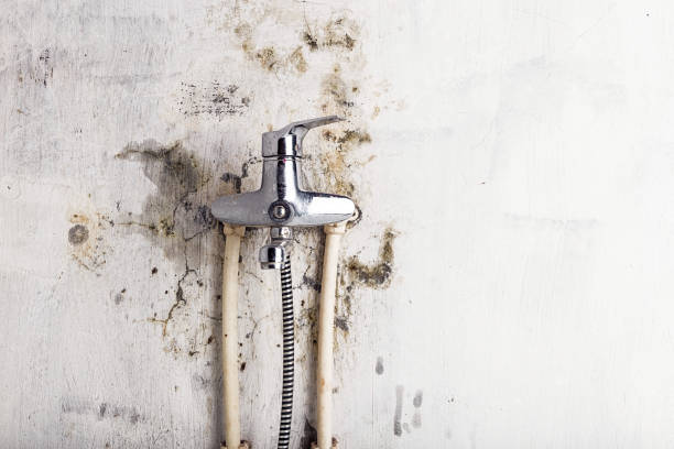 Best Emergency Mold Remediation in Good Hope, CA