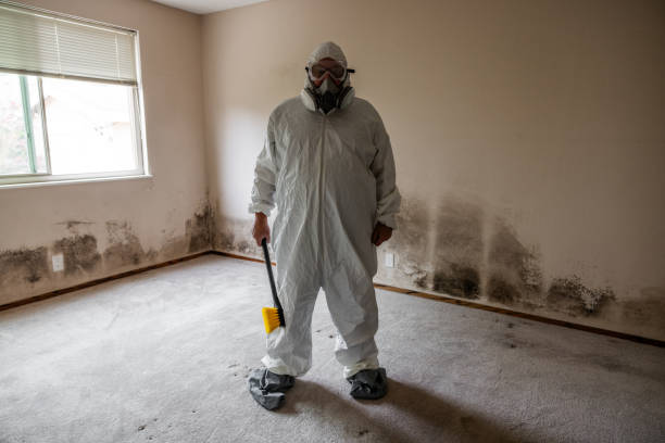 Best Mold Testing and Inspection Services in Good Hope, CA